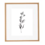 QUADRO  BOTÂNICA | FOLHAS