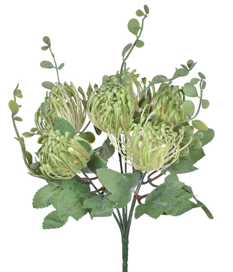 0023432_bq-alfineteiro-x6-leucospermum0_550 BUQUE ALFINETEIRO VERDE - Imagem 1