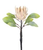 HASTE DECORATIVA PROTEA DO CAMPO