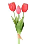RAMALHETE DE TULIPA X3