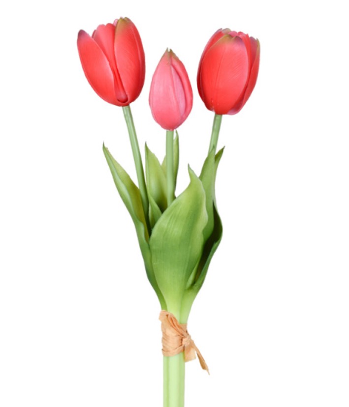 0032022_ramalhete-de-tulipa-x33_550-2 RAMALHETE DE TULIPA X3 - Imagem 1