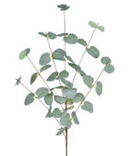 FOLHAS DE EUCALIPTO X 2 VERDE