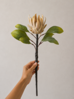HASTE DECORATIVA PROTEA DO CAMPO - Imagem 2