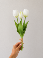 RAMALHETE DE TULIPA X3 - Imagem 2