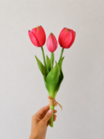 RAMALHETE DE TULIPA X3 - Imagem 2