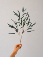 HASTE DECORATIVA DE EUCALIPTO GLOBULUS - Imagem 2
